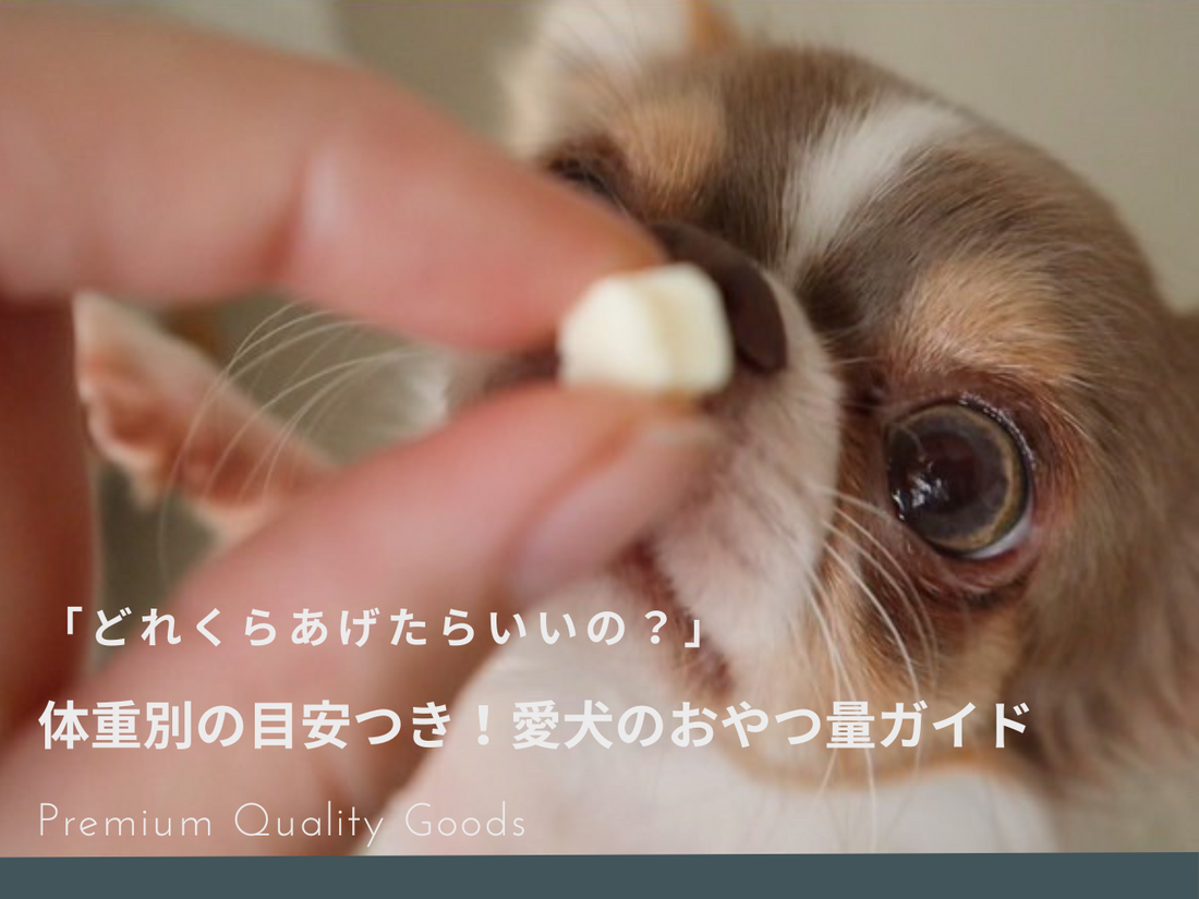 「どのくらいあげたらいいの?」愛犬のおやつ量ガイド