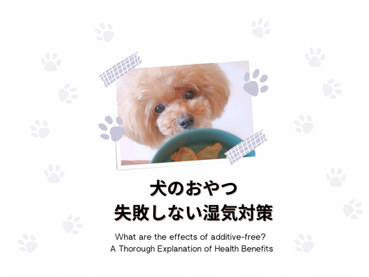 犬のおやつ管理失敗しない3つの湿気対策