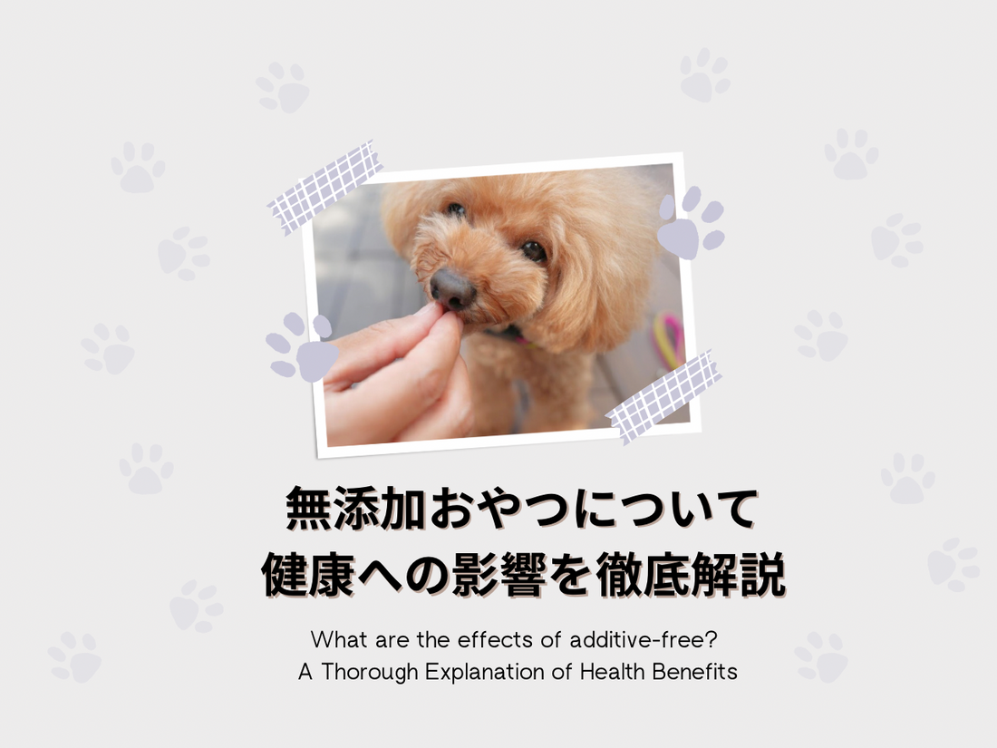 無添加のおやつの効果とは?健康への影響を徹底解説