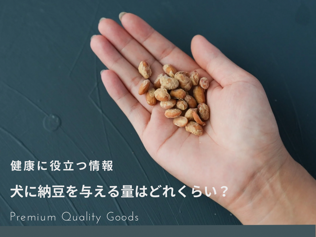 「犬に納豆を与える量はどれくらい?健康に役立つ情報」