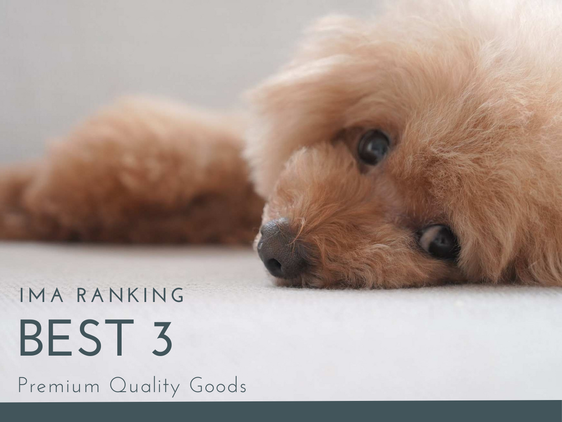 犬のおやつ人気ランキングTOP3!愛犬が喜ぶおすすめアイテム