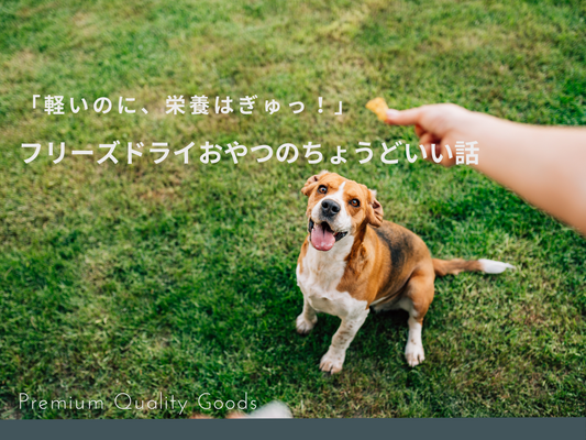 フリーズドライってなに？