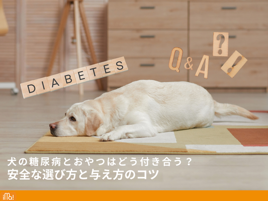 犬の糖尿病とおやつはどう付き合う？安全な選び方と与え方のコツ