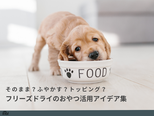そのまま？ふやかす？トッピング？フリーズドライのおやつ活用アイデア集