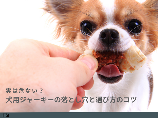 実は危ない？犬用ジャーキーの落とし穴と選び方のコツ