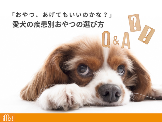「おやつ、あげてもいいのかな？」愛犬の疾患別おやつの選び方