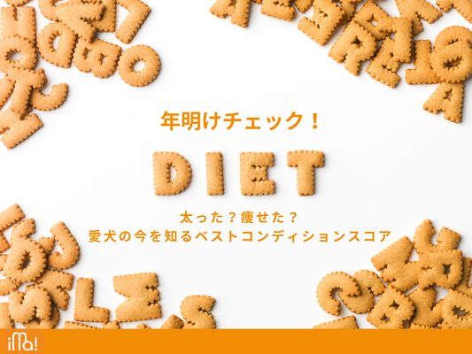 年明けチェック！愛犬の今を知るベストコンディションスコア