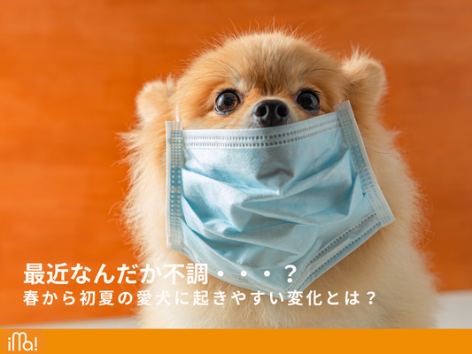 最近なんだか不調…春から初夏の愛犬に起きやすい変化とは？